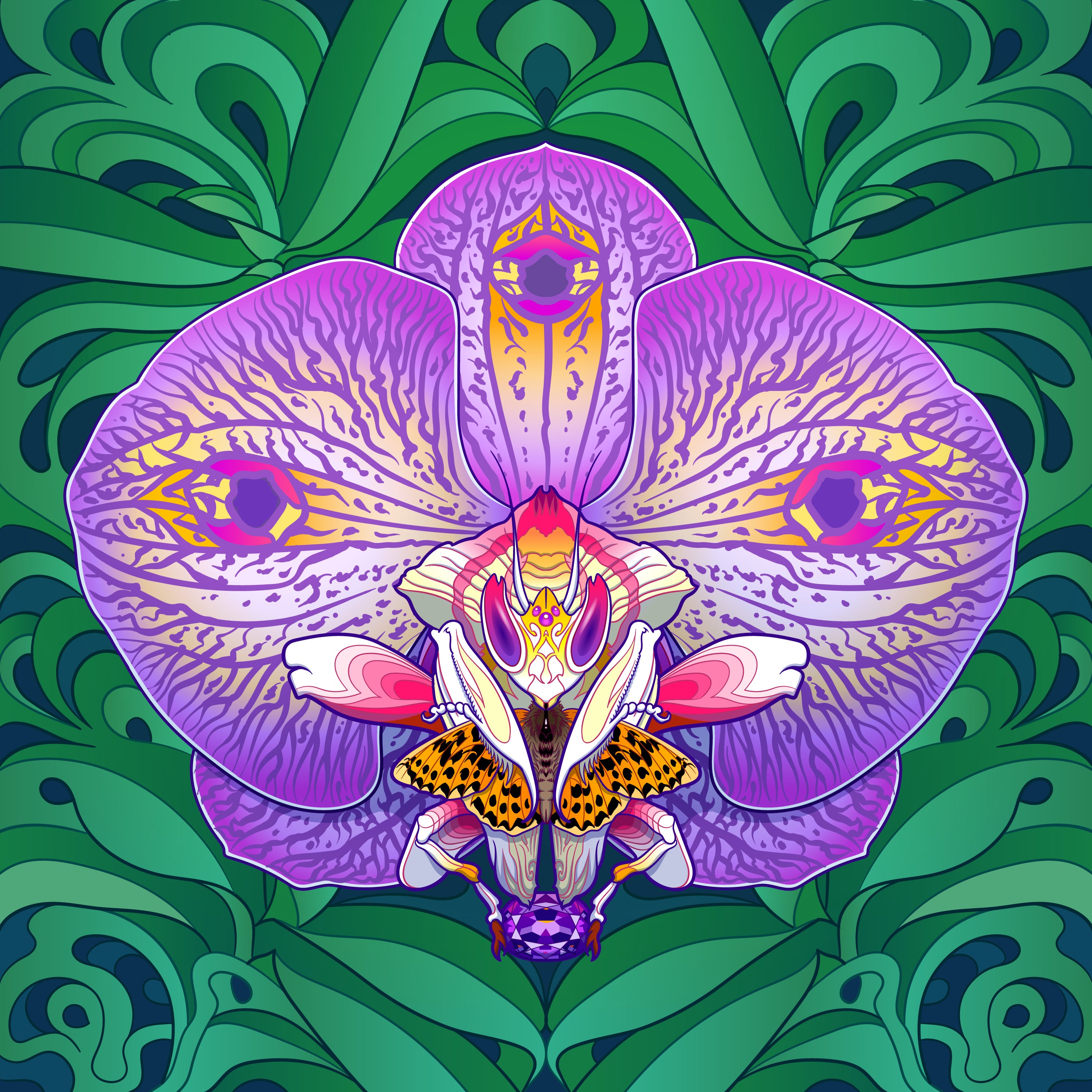 Orchid Mantis Queen